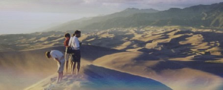 Sand Dune